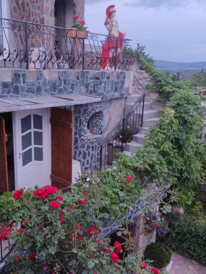 Ciurbesti Castel 빌라 객실 사진