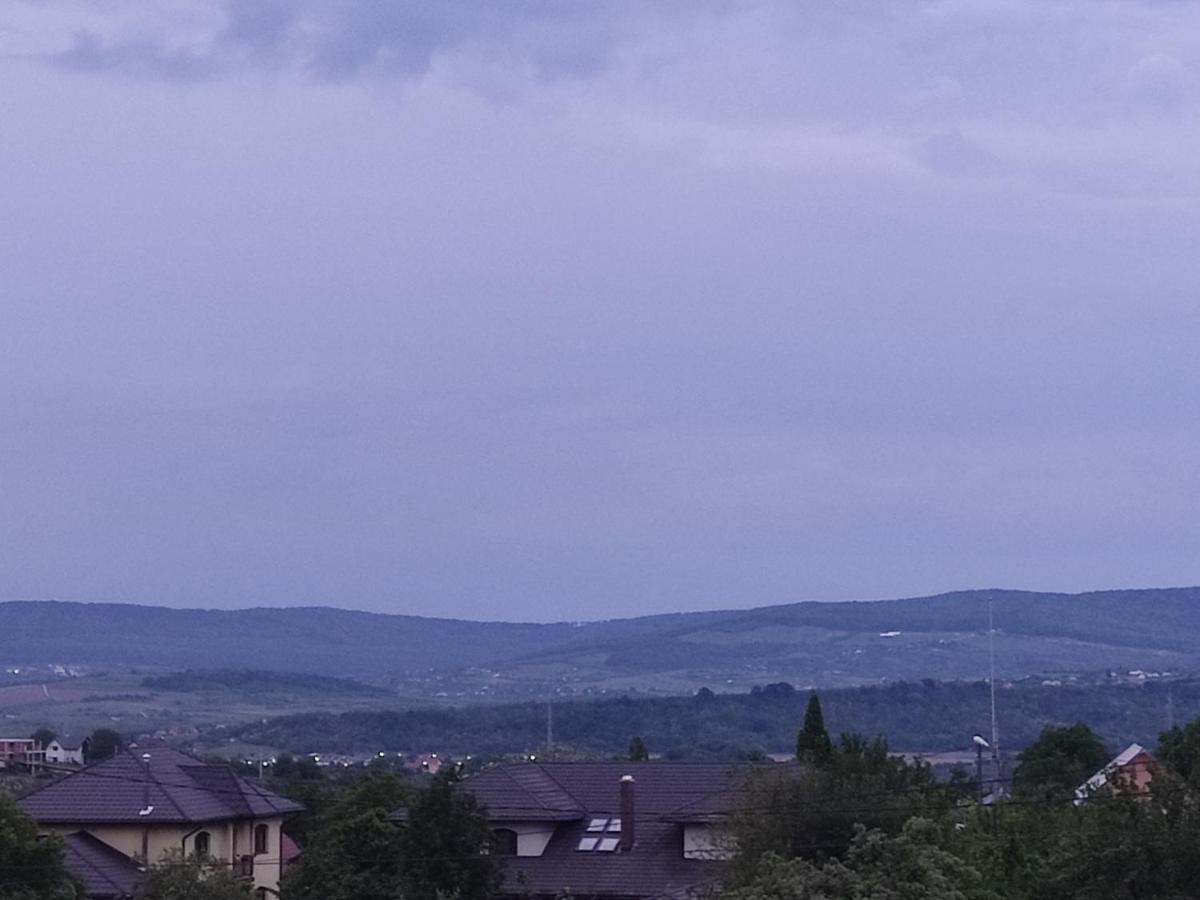 Ciurbesti Castel 빌라 외부 사진